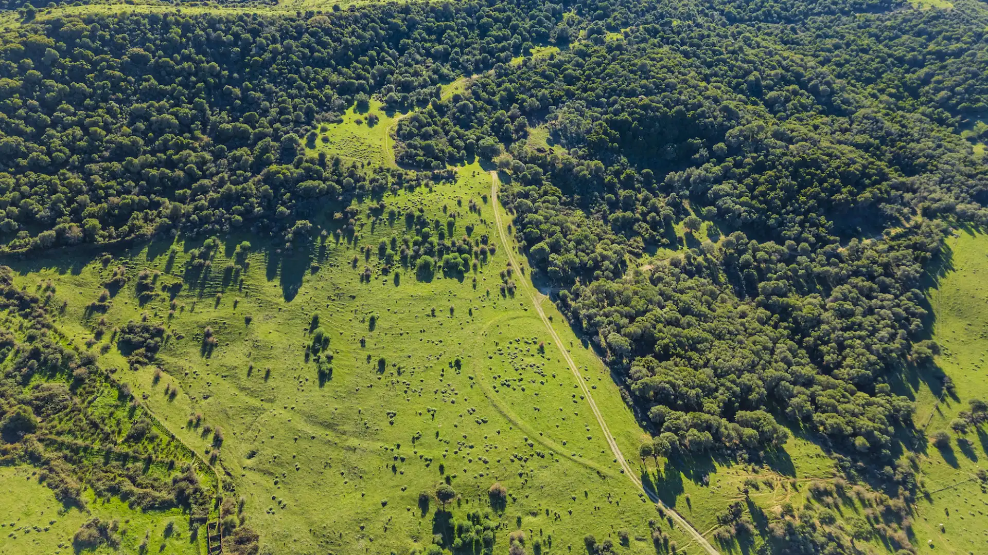 Finca rústica en venda en San Martín del Tesorillo amb Aire condicionat, Jardí privat i Terrassa