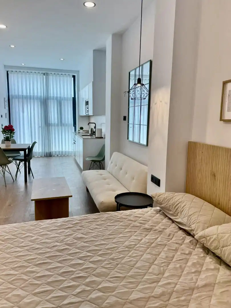Sala de estar de Estudio en venta en Valencia con Aire acondicionado, Terraza y Amueblado