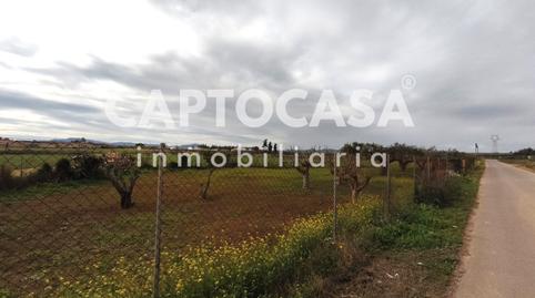 Foto 2 de Terreno en venta en Pasaje la Carrasca, Miranda, Cartagena