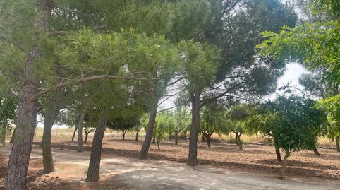 Photo 4 of Country house for sale in Calle Torrijos, Gerindote, Toledo