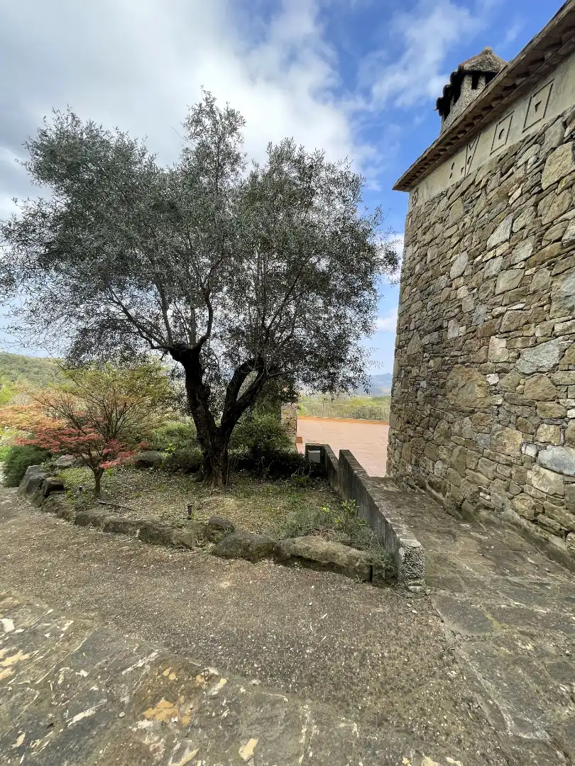 Vista exterior de Finca rústica en venda en Mieres (Girona) amb Calefacció, Parquet i Terrassa
