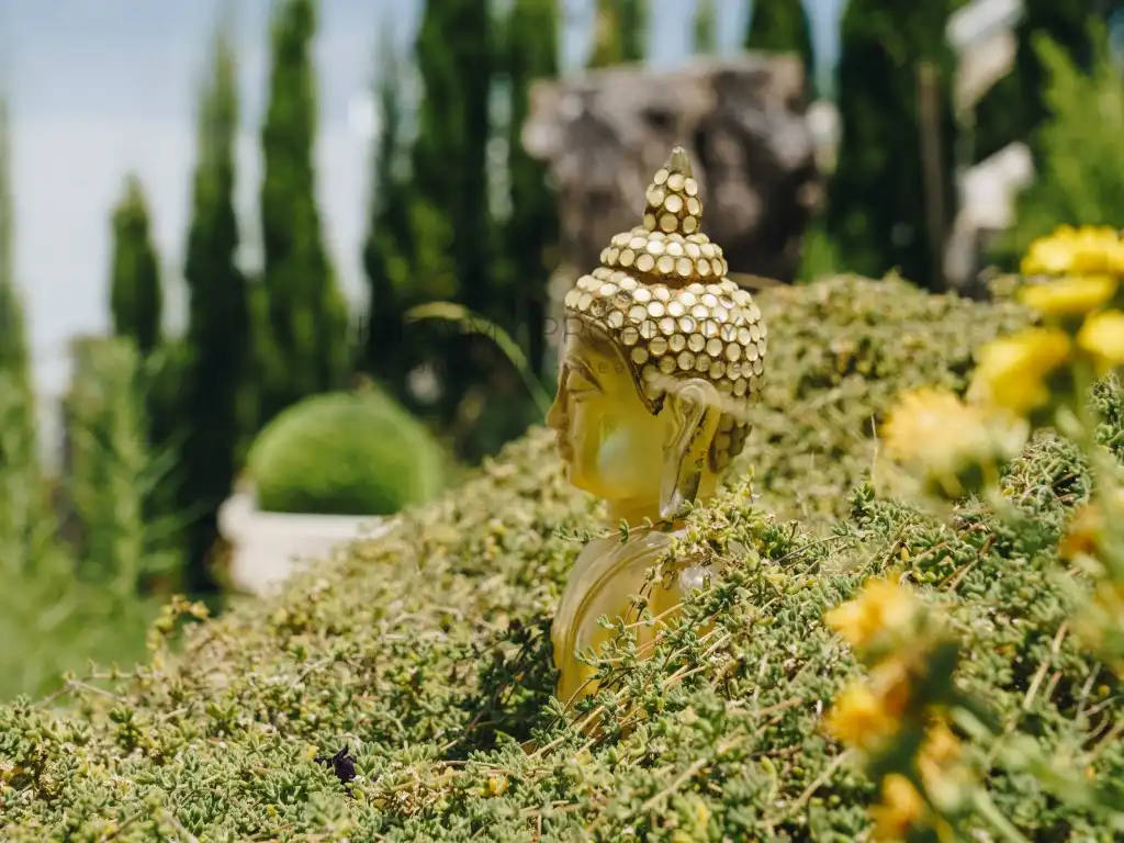 Jardí de Casa o xalet de lloguer en Santa Eulària des Riu