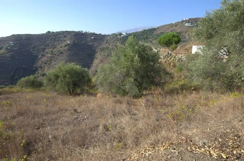 Terreno rustico in vendita a Árchez, imagen 3