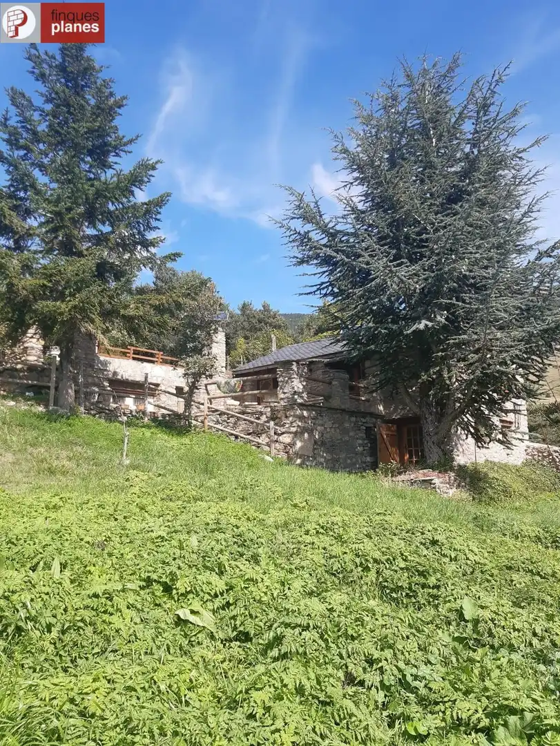 Exterior view of Houses for sale in Les Valls de Valira  with Private garden and Furnished