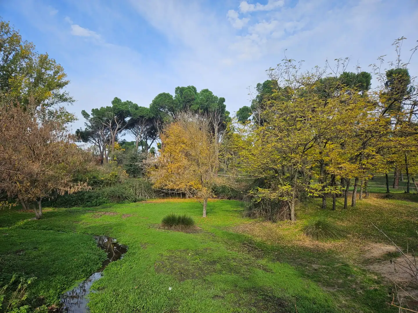Jardín de Dúplex de alquiler en Alcobendas con Aire acondicionado, Calefacción y Jardín privado