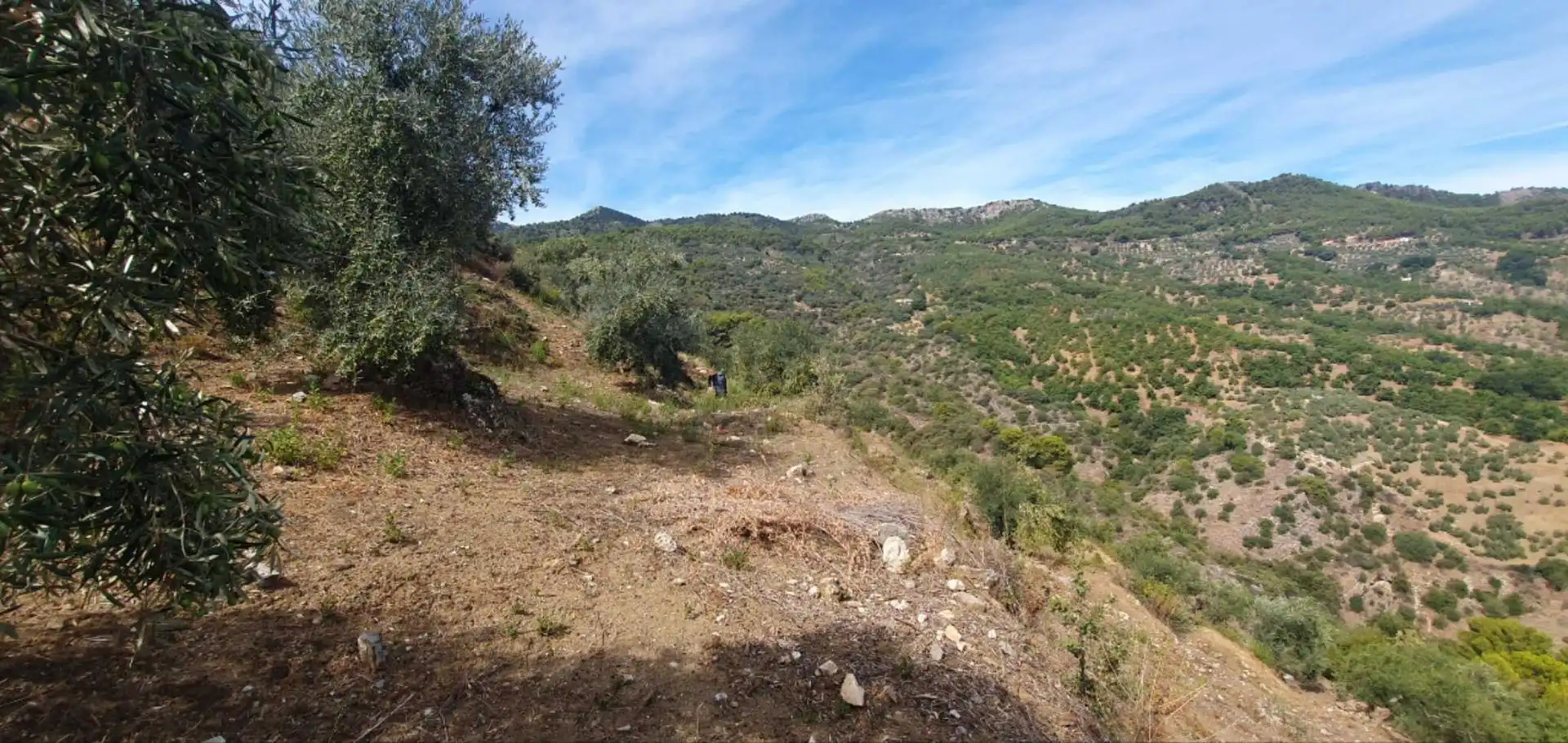 Terreni e lotti in vendita a Yunquera, imagen 3