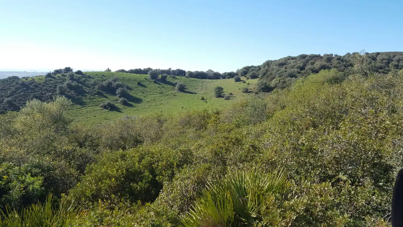 Rural land for sale in Carretera Sevilla Utrera, imagen 3