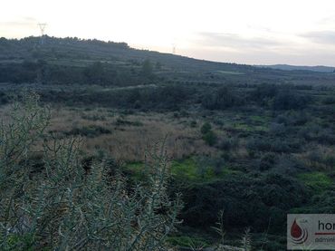 Terreni e lotti in vendita a Bonastre