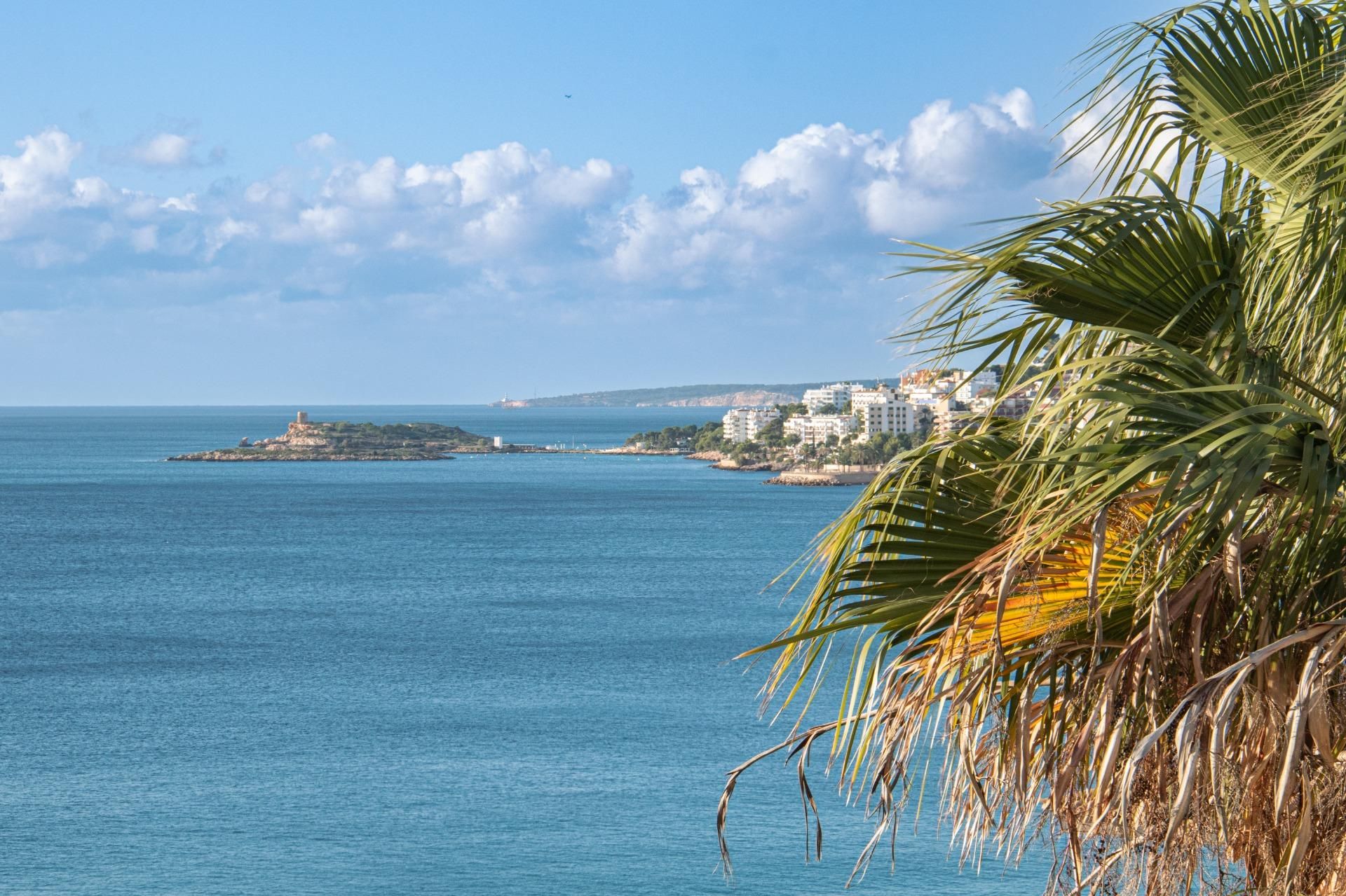 Exterior view of Flat for sale in  Palma de Mallorca  with Terrace