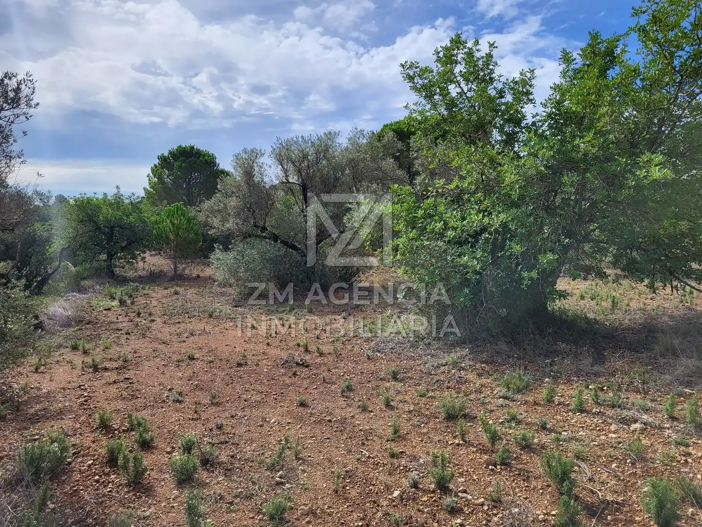 Casa rústica en venta en Traiguera, imagen 6