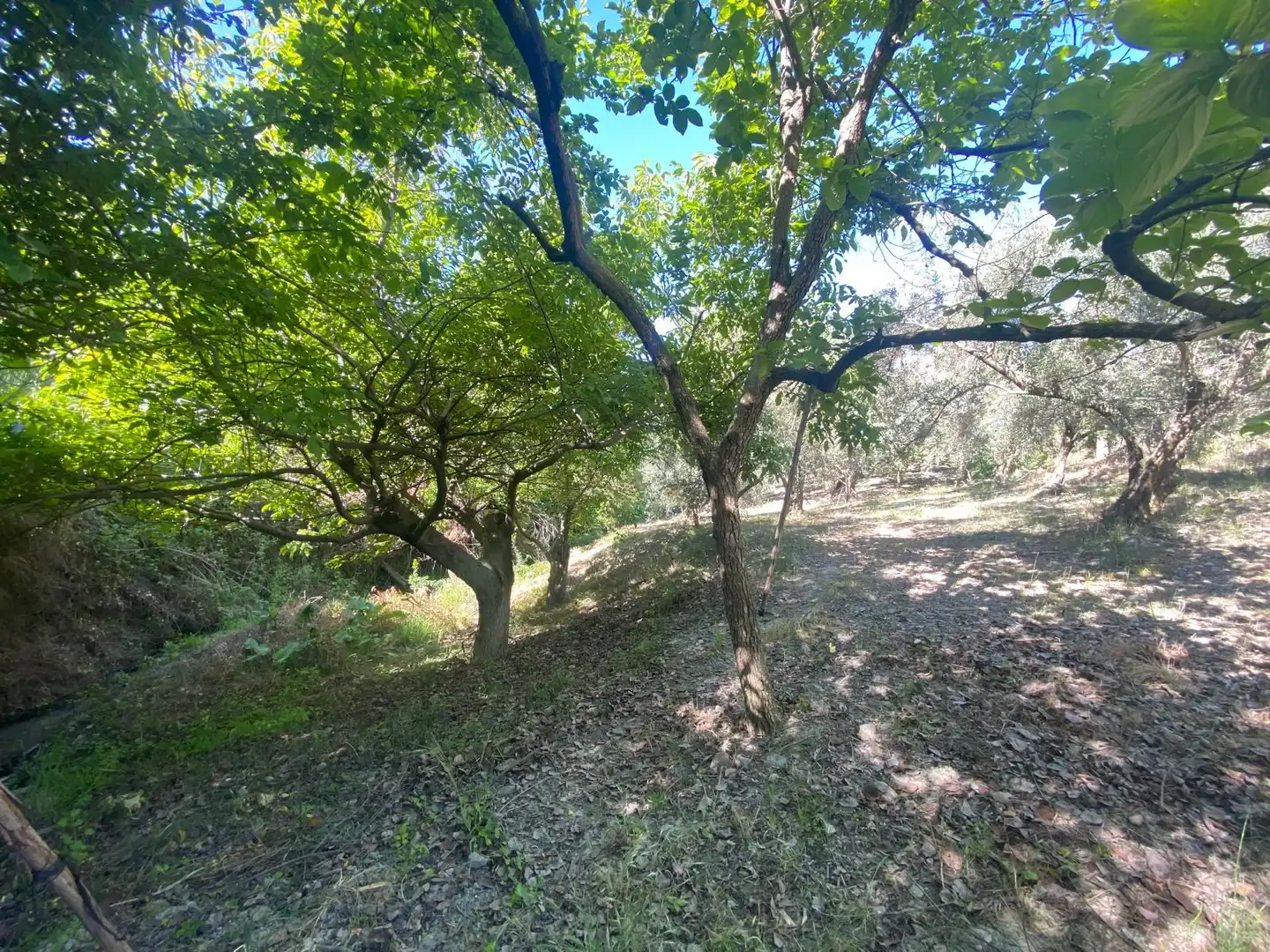 Landhaus mit Garten zum Verkauf in Monachil pueblo, imagen 11
