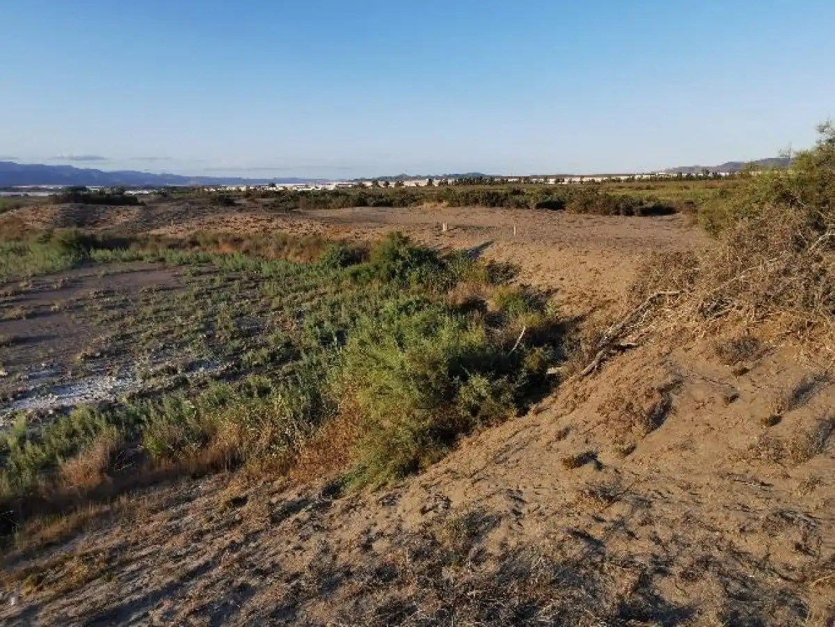 Terreno rustico in vendita a Camino LOS HUERTOS, imagen 28