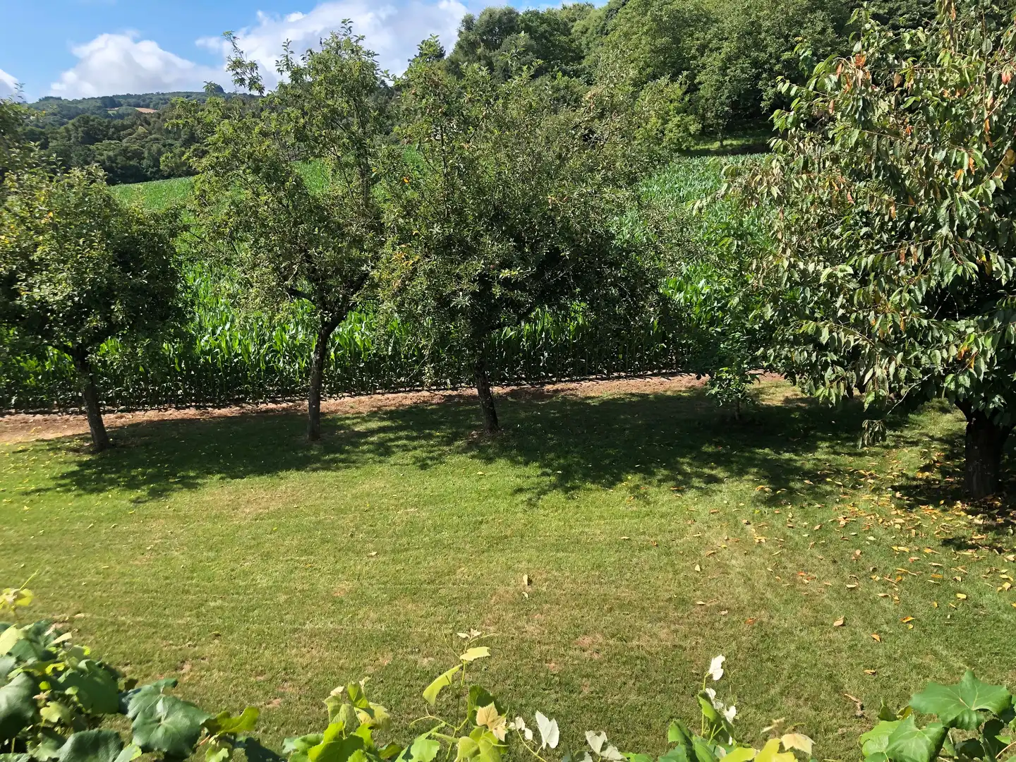 Garden of Houses for sale in Chantada  with Heating, Private garden and Parquet flooring
