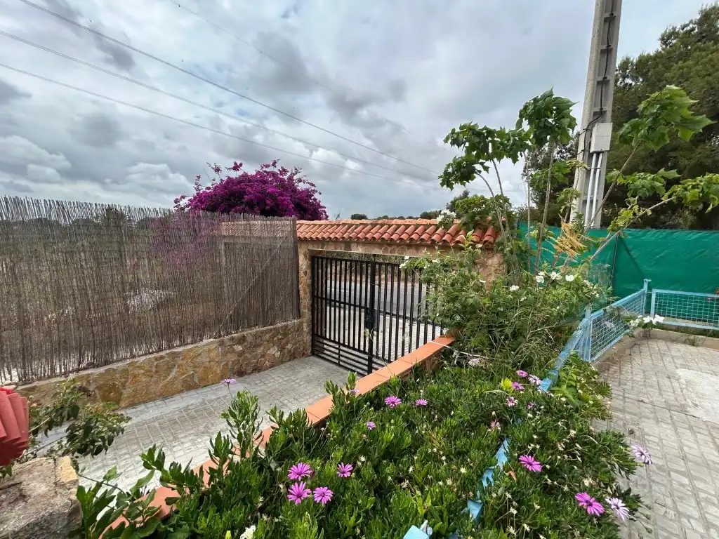 Vista exterior de Finca rústica en venda en Sagunto / Sagunt