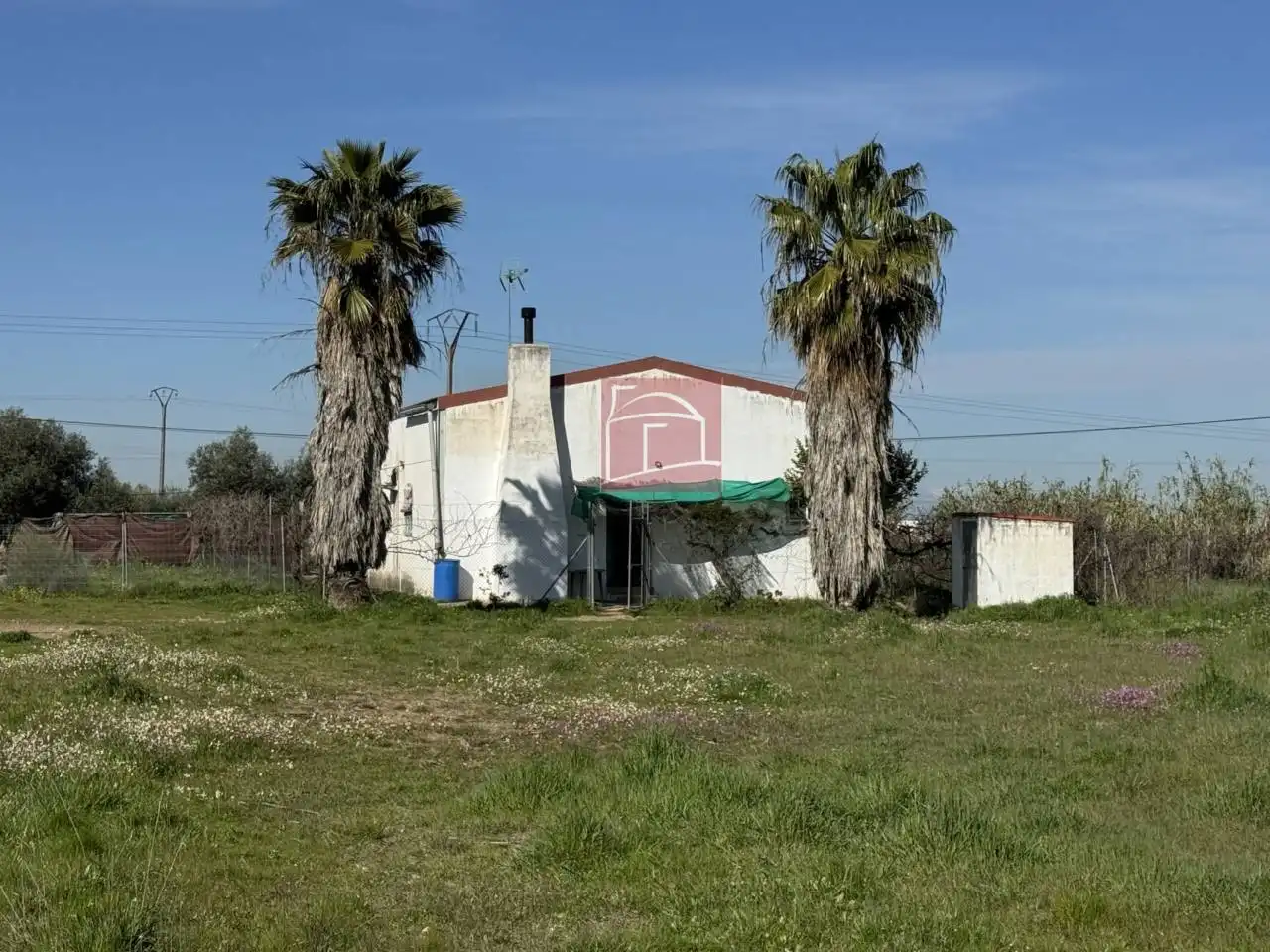 Vista exterior de Finca rústica en venta en Villanueva de la Serena con Jardín privado