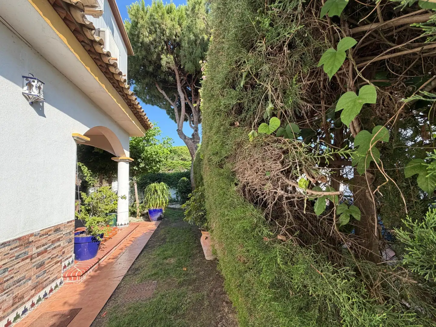 Xalet amb jardí en venda a Sancti Petri, imagen 69
