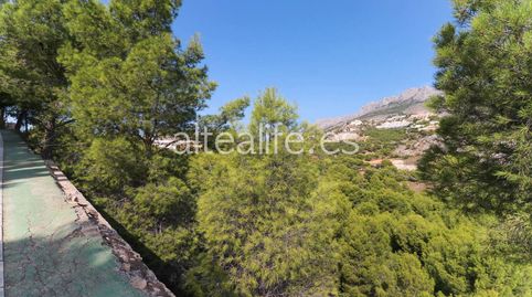 Parcela Urbana de 1182 m2 en la zona de Mascarat , imatge 5