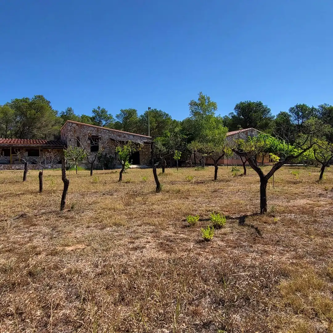 Casa rústica con piscina en venta en El Perelló