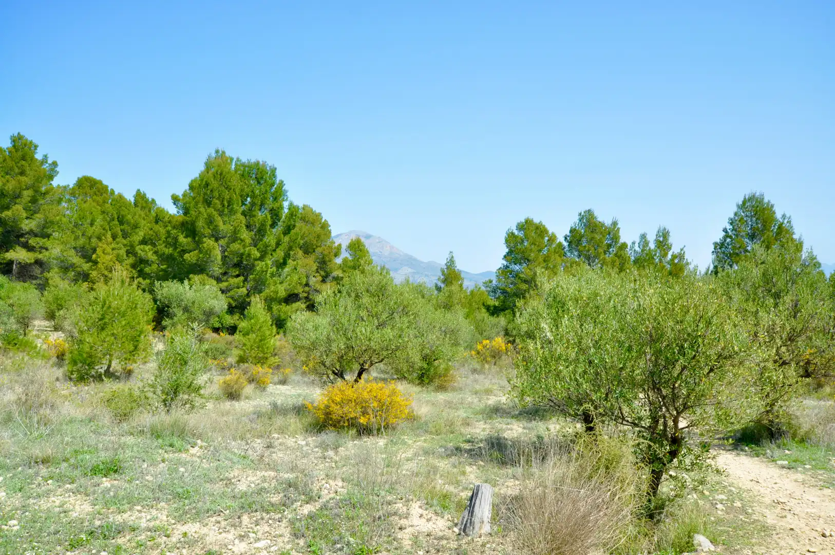 Residential zum Verkauf in Muro de Alcoy