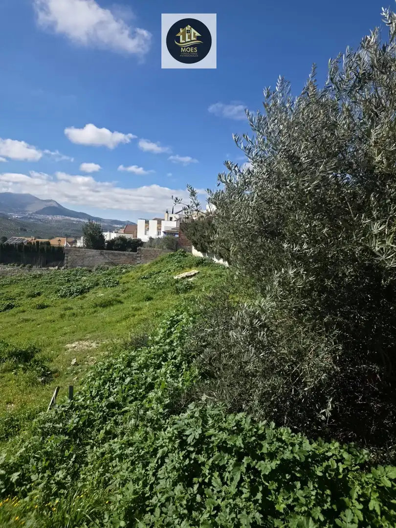 Terreni e lotti in vendita a La Guardia de Jaén, imagen 6