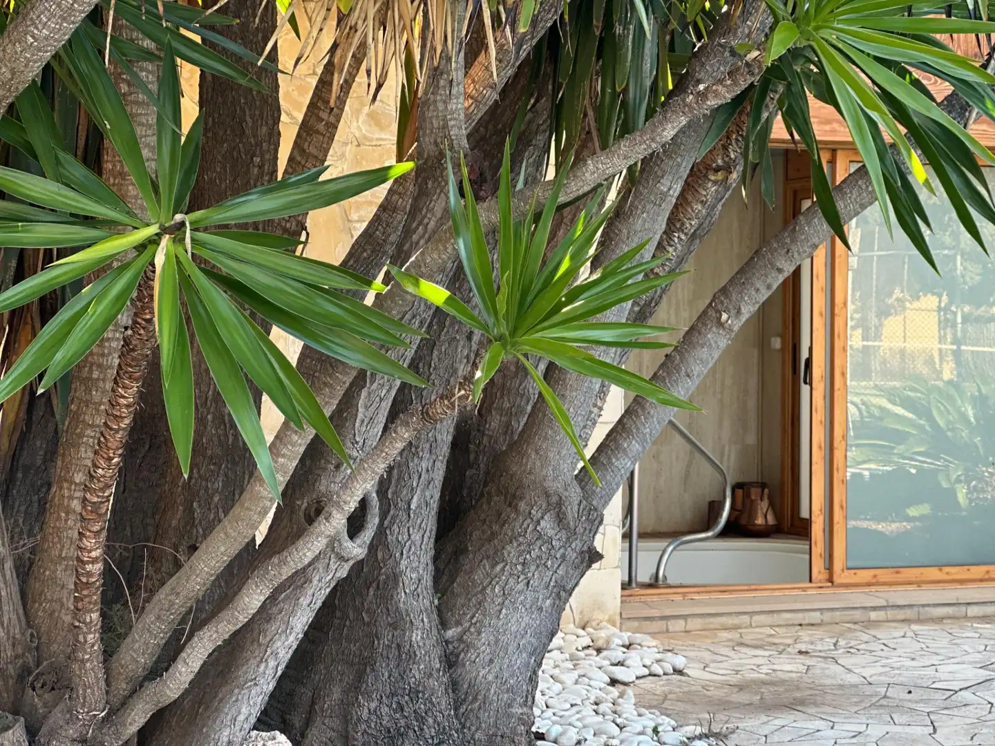 Casa o chalet en venta en Castellví de Rosanes