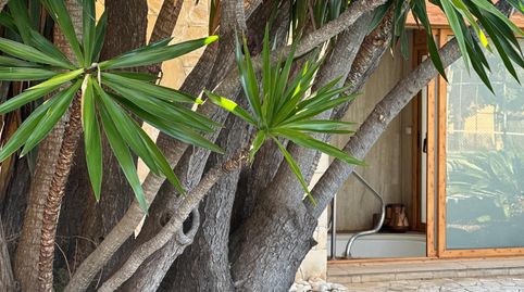 Foto 5 de Casa o xalet en venda a Castellví de Rosanes, Barcelona