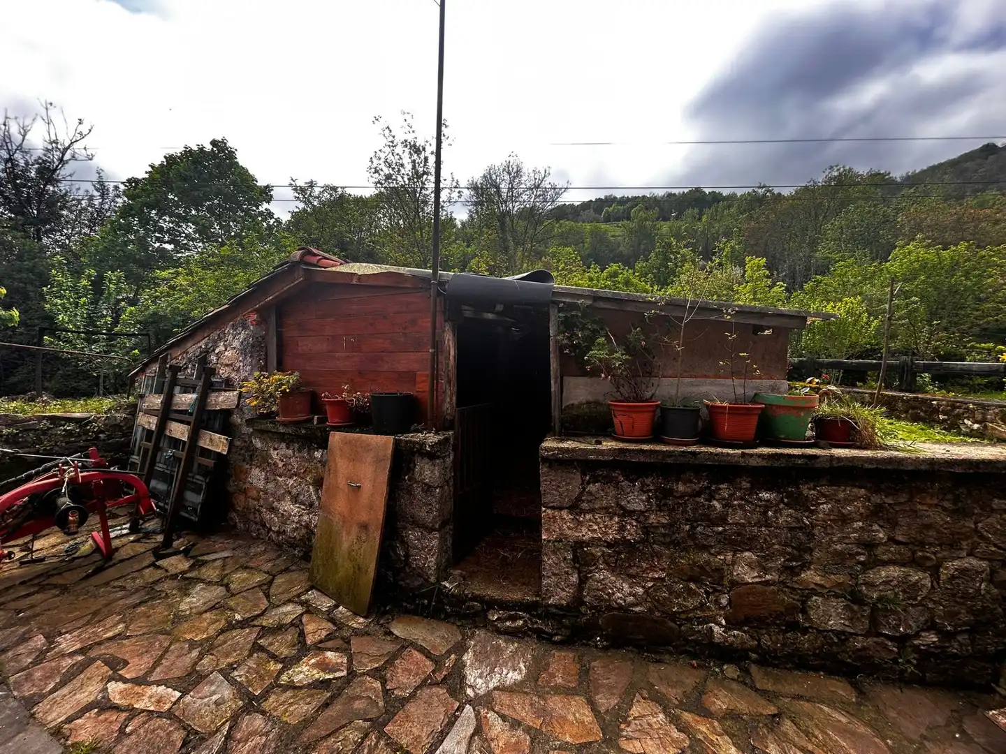 Vista exterior de Casa o xalet en venda en Onís