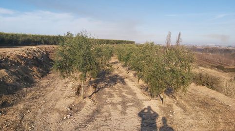 Finca Rúst. en venta en Castelldans., imagen 2