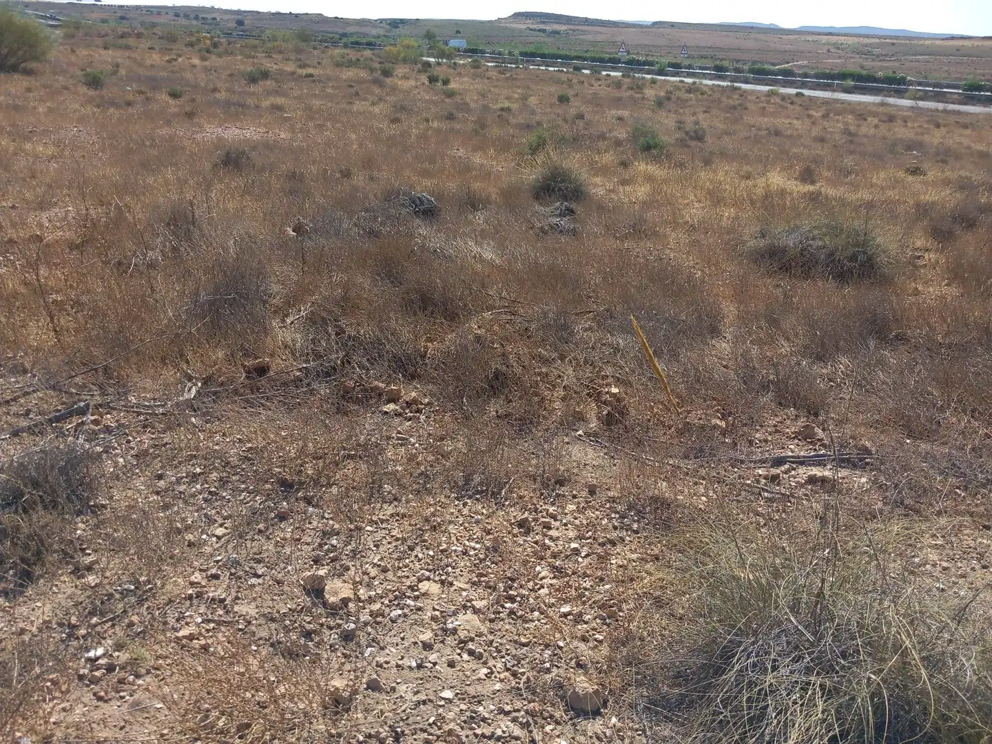 Terreny rústic en venda a San Isidro - Campohermoso, imagen 41