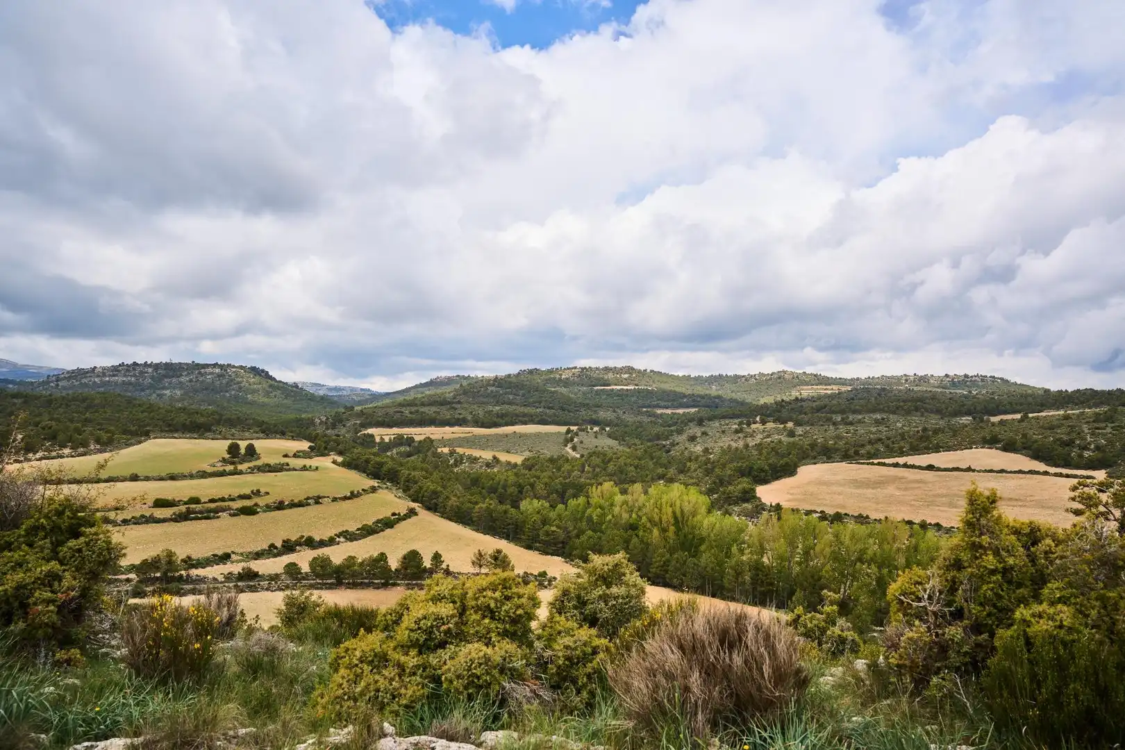 Finca rústica en venta en DISEMINADOS, 24, Puebla de Don Fadrique