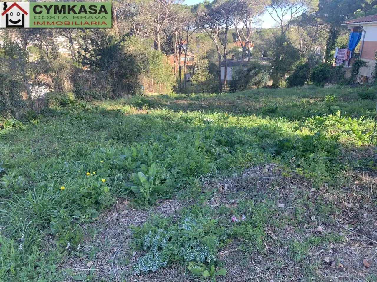 Terreno rustico in vendita a Residencial Park, imagen 2