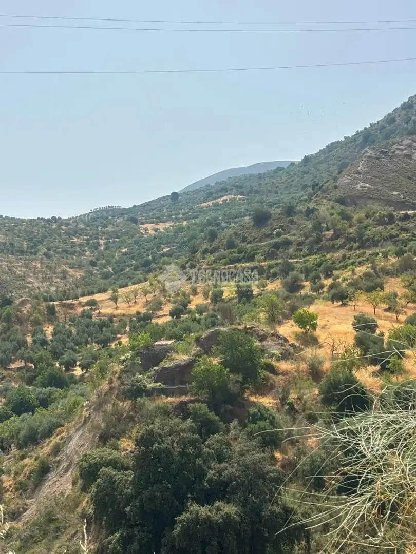 Land for sale in Quéntar