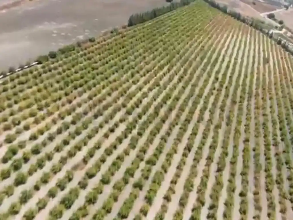 Rural land for sale in El Retiro - Parque Atlántico - Ronda este, imagen 32