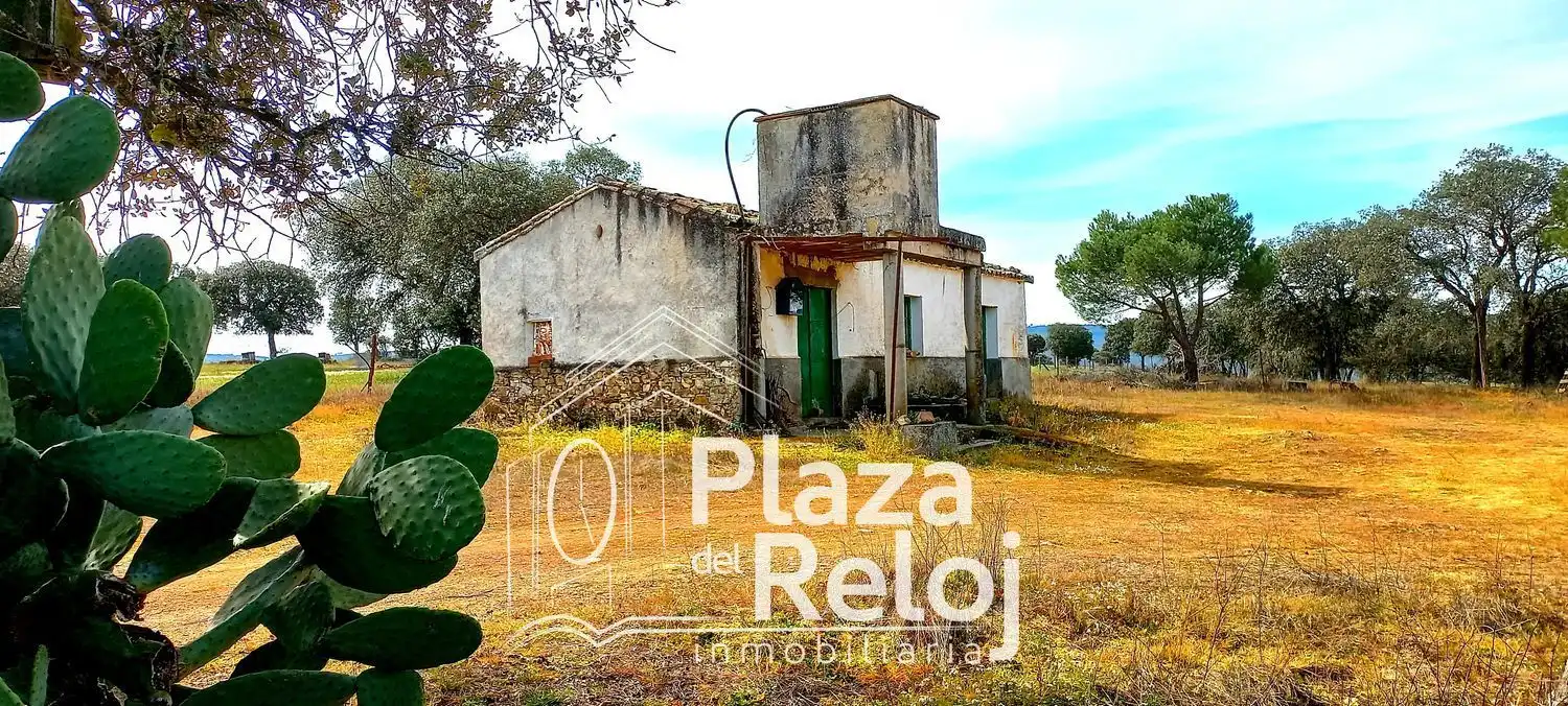 Terreno rustico in vendita a CERVANTES 0, imagen 14