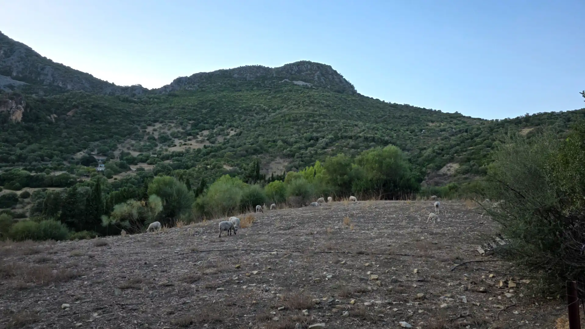 Terreno en venta en Centro