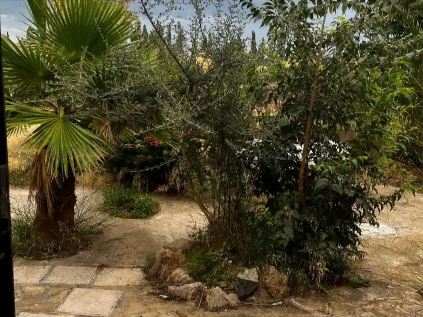 Garten von Country house zum Verkauf in Cambrils mit Privatgarten und Möbliert