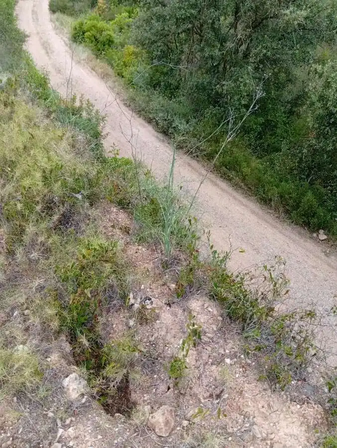 Piso en venta en Corbera d'Ebre, imagen 12