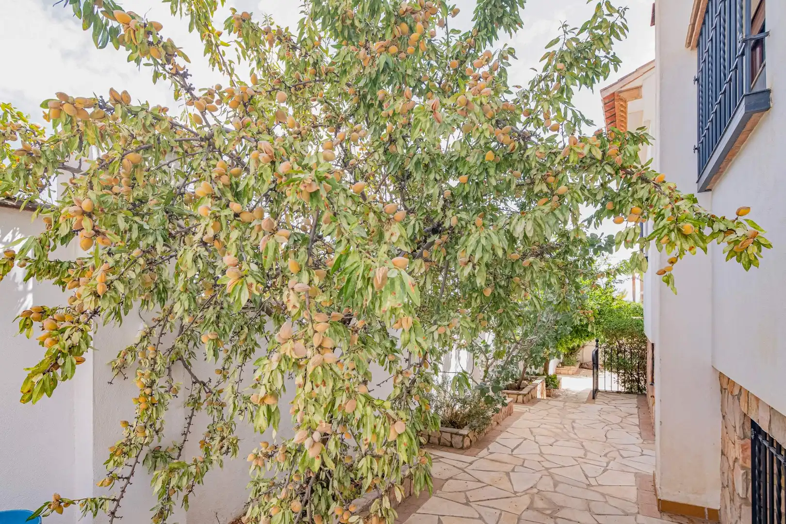 Jardín de Casa o chalet en venta en Alhendín con Calefacción, Jardín privado y Trastero