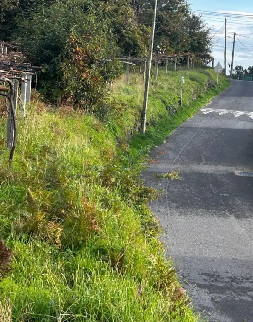 Residential land for sale in Camiño Liñares, imagen 3