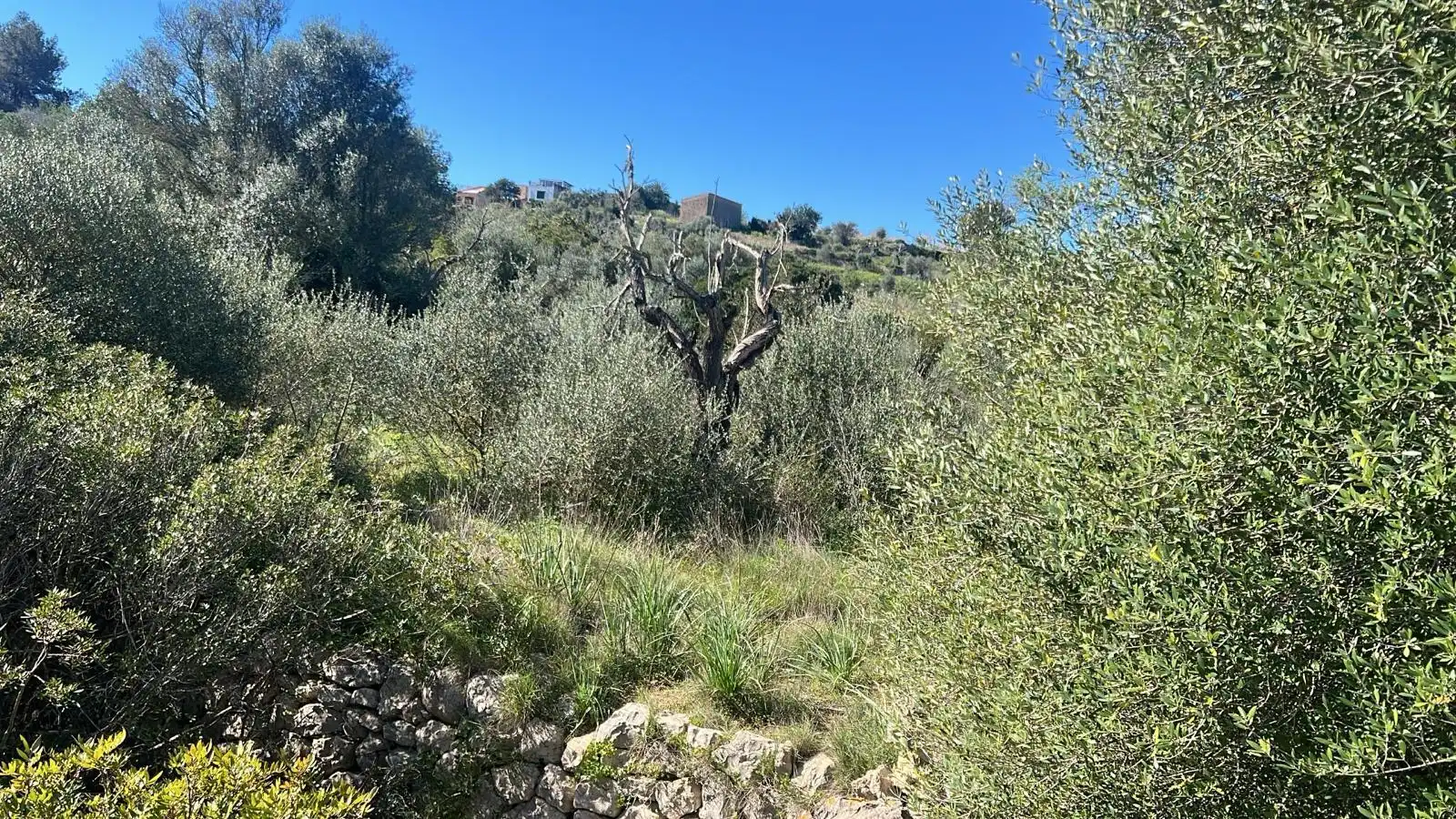 Grundstücke zum Verkauf in Marratxí, Illes Balears