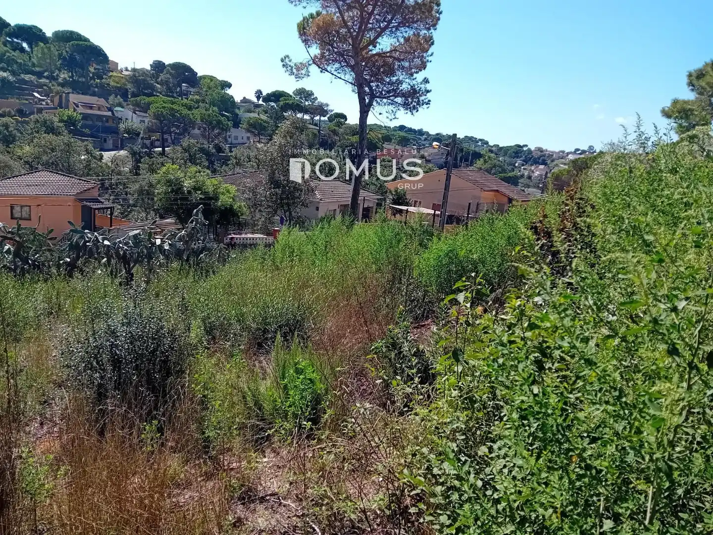 Terreno rustico in vendita a Dels Eucaliptus