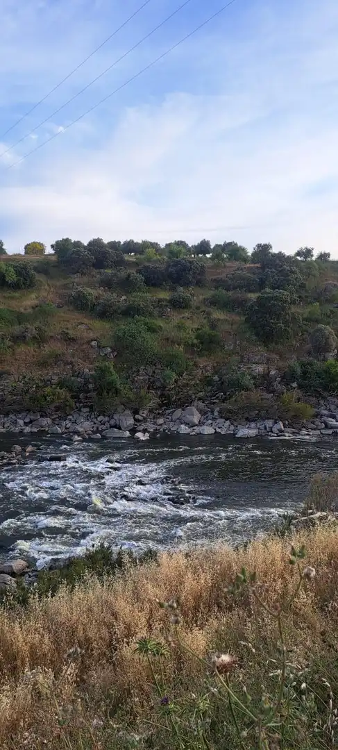 Exterior view of Land for sale in El Puente del Arzobispo