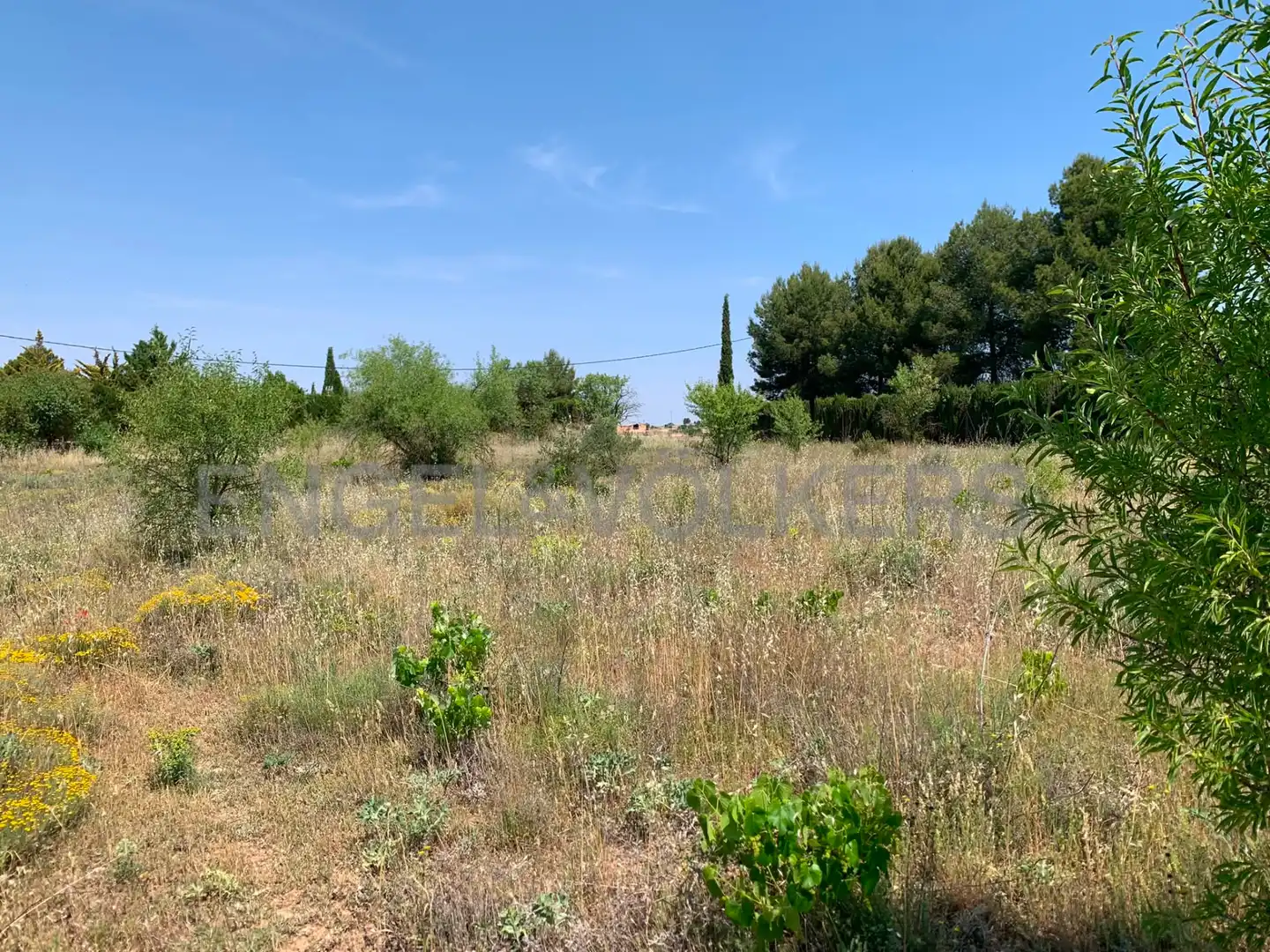 Terreny rústic en venda a Requena, imagen 24