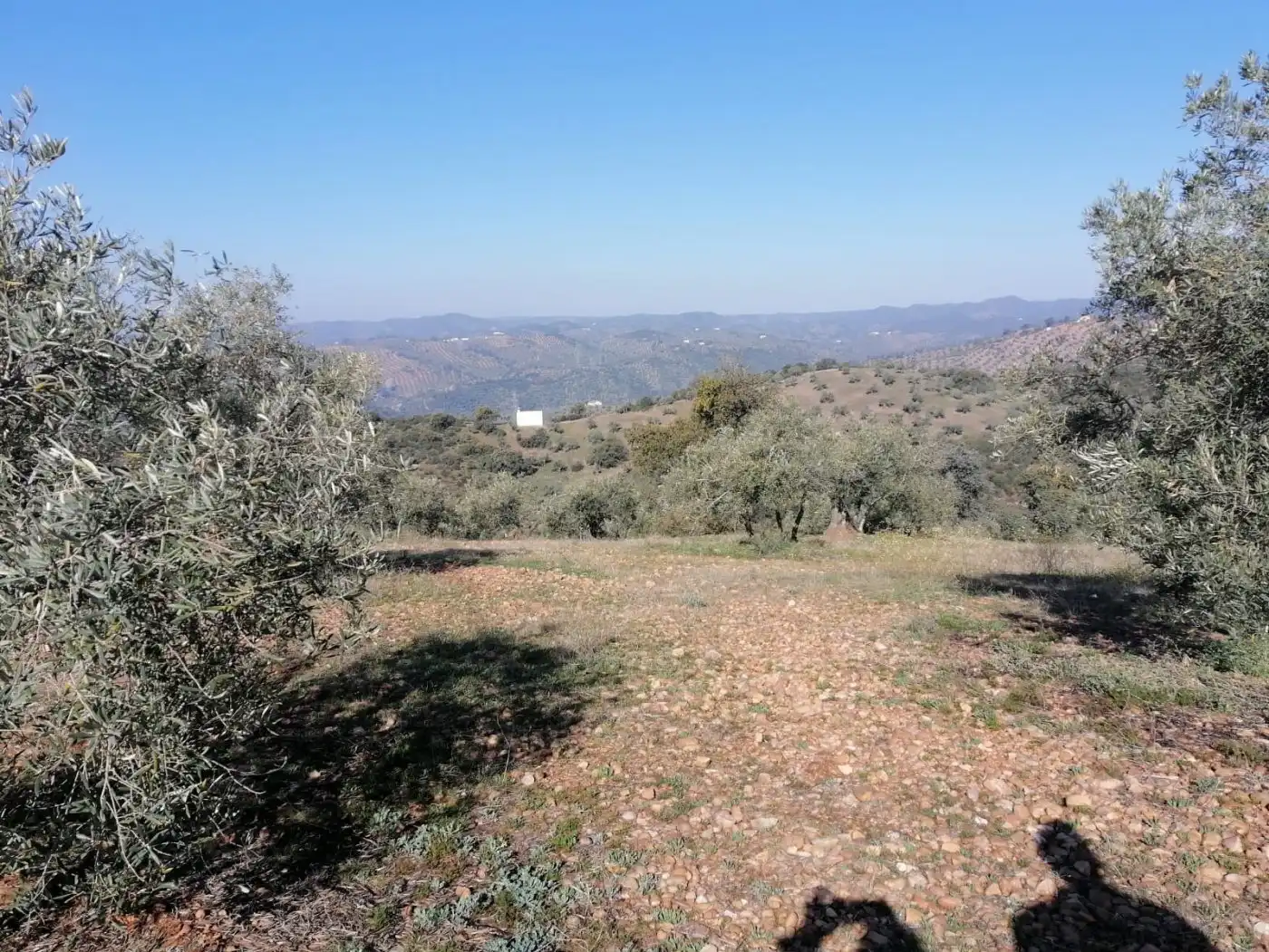 Casa amb jardí en venda a Montoro, imagen 50