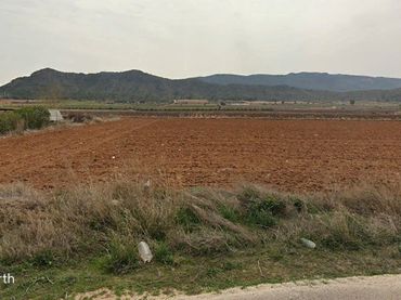 Terreno rustico in vendita a Yecla