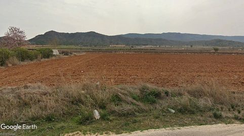 PARCELA DE REGADÍO CON POSIBILIDAD DE CONSTRUIR VIVIENDA, NAVE AGRÍCOLA.