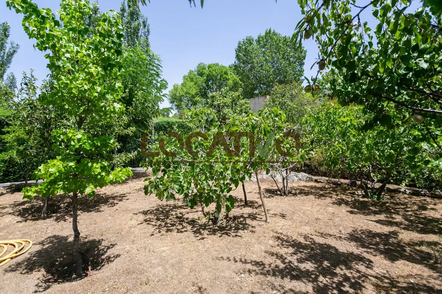 Haus mit Pool zum Verkauf in Robledo de Chavela, imagen 8