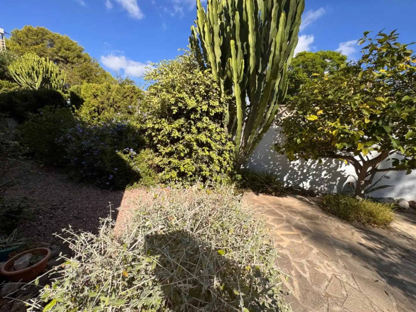 Bungalow mit Pool zum Verkauf in Moravit - Cap Blanc, imagen 34