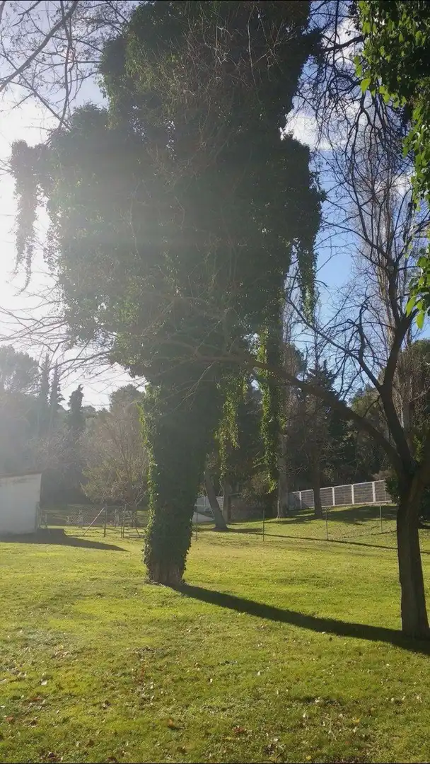 Residential land for sale in Calle Nueva Sierra CR, imagen 30