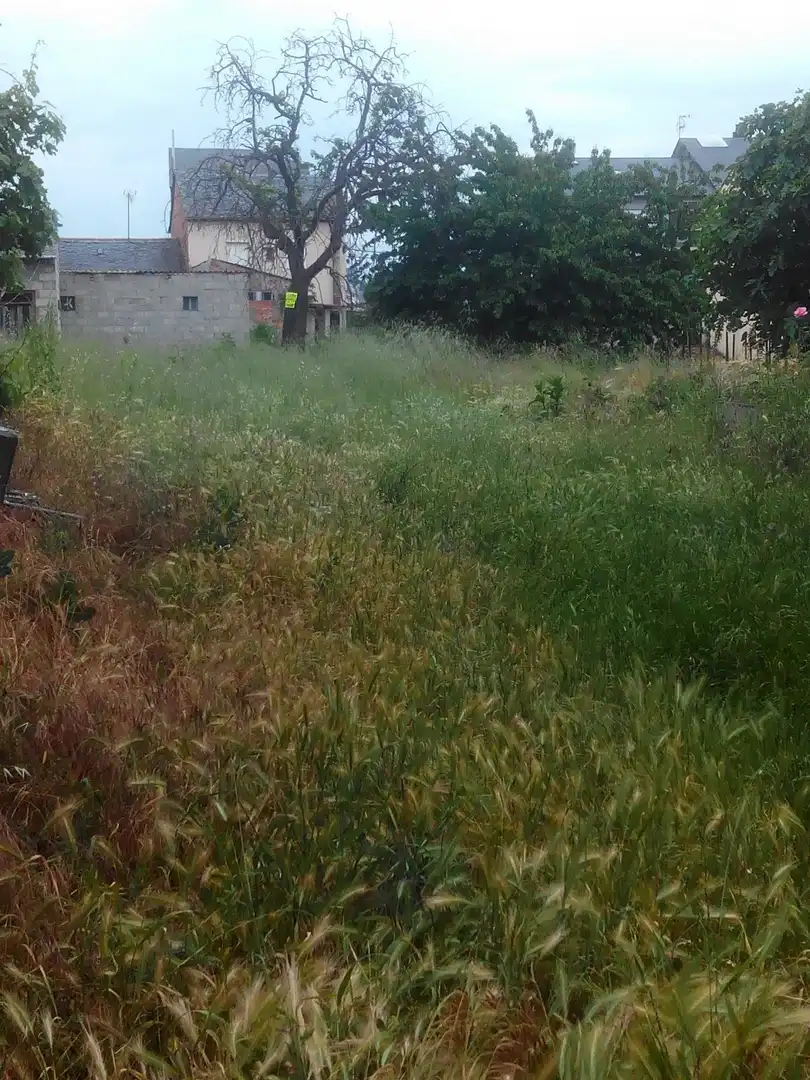 Terreni e lotti in vendita a Cacabelos, imagen 2